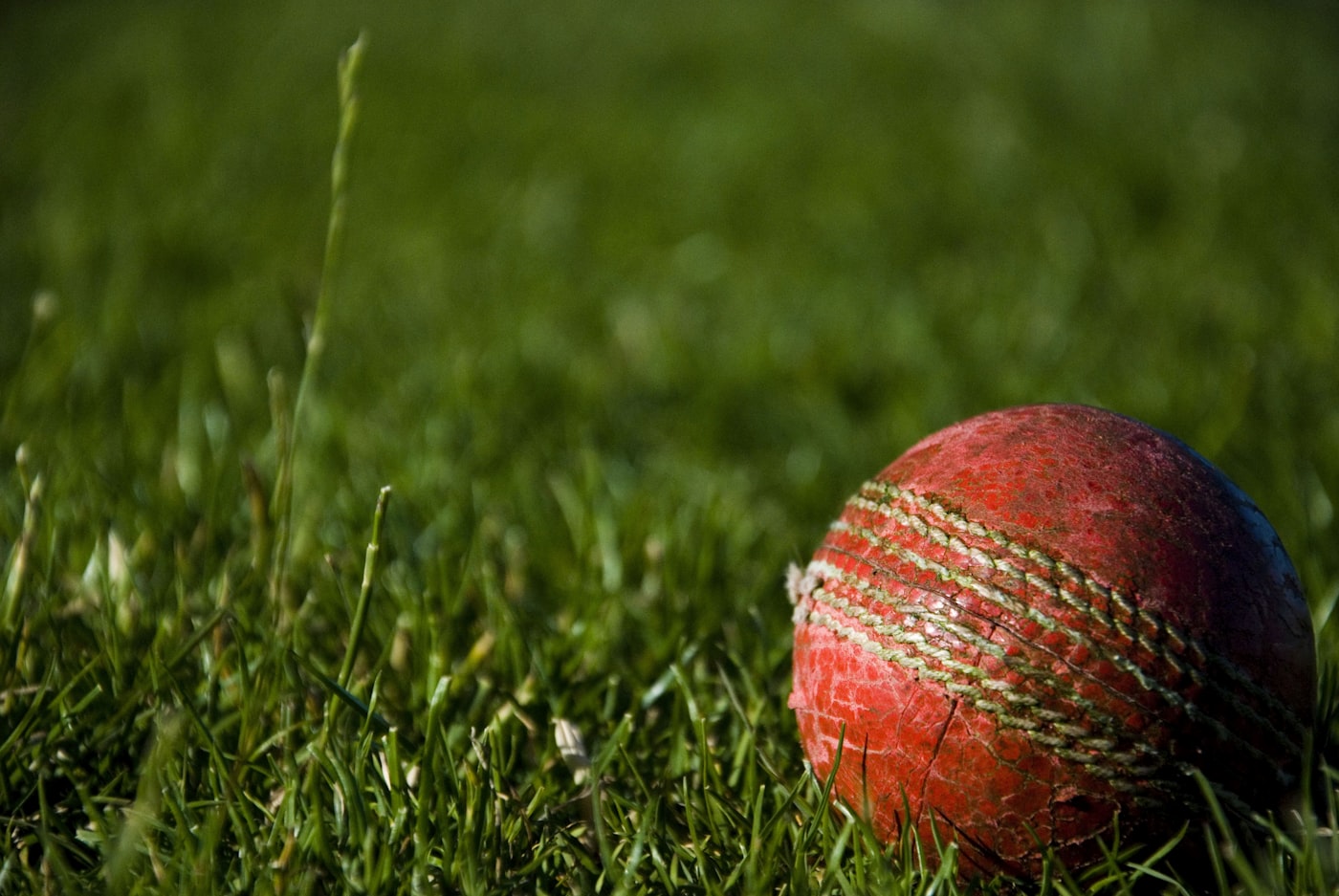 Fast bowler delivering the ball on a green pitch
